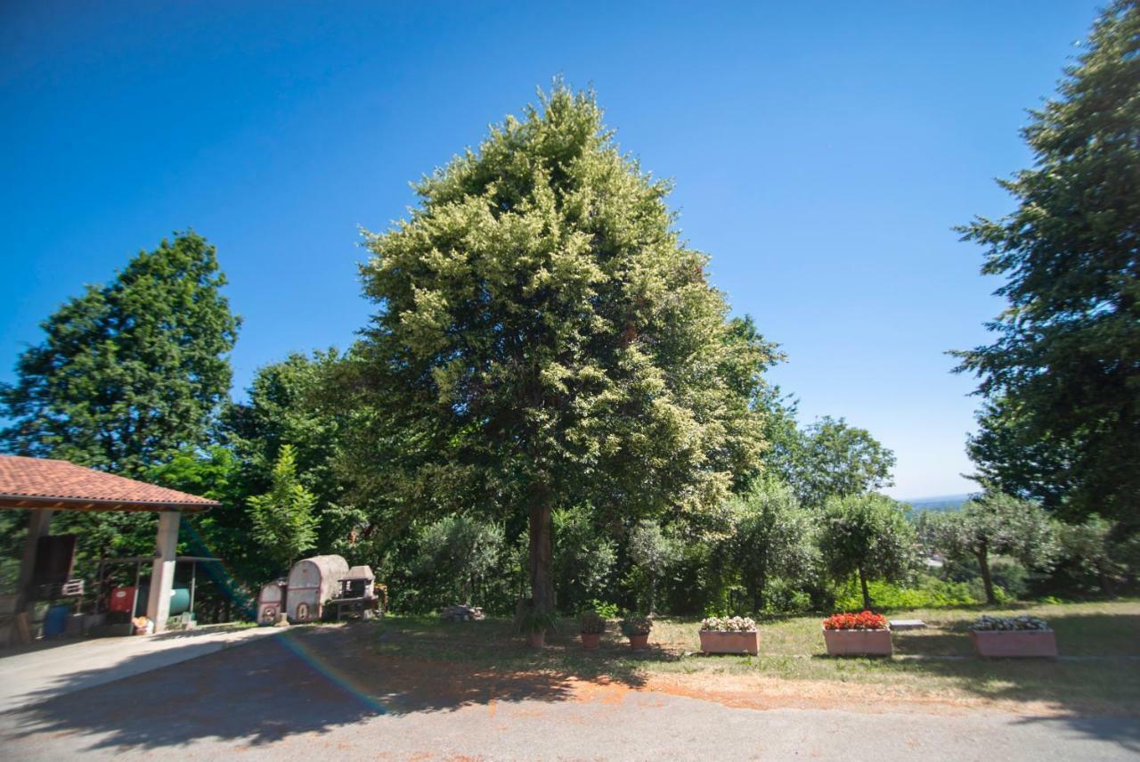 Agriturismo Turina *